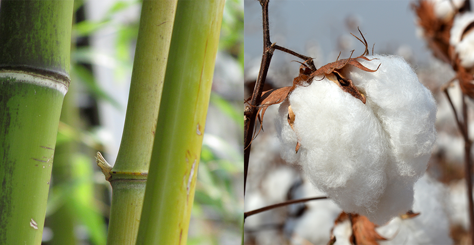 Bamboo vs cotton fabric